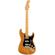 Fender American Pro II Strat HSS: Picture 7 thumbnail