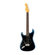 Fender American Pro II Strat: Picture 1 thumbnail