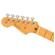 Fender American Pro II Strat: Picture 4 thumbnail
