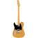 Fender American Pro II Tele: Picture 1 thumbnail