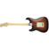 Fender Stratocaster Guitar: Picture 2 thumbnail