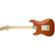 Fender Americ.Elite Stratocaster: Picture 1 thumbnail
