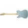 Fender Elite Telecaster Thinline: Picture 1 thumbnail