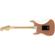 Fender American Performer: Picture 2 thumbnail