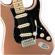 Fender American Performer: Picture 3 thumbnail