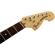 Fender American Special Strat: Picture 5 thumbnail