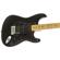 Fender Special Stratocaster HSS: Picture 4 thumbnail
