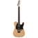 Fender Jim Root Telecaster: Picture 1 thumbnail