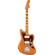 Fender Troy Van Leeuwen: Picture 1 thumbnail
