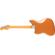 Fender Troy Van Leeuwen: Picture 2 thumbnail