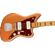 Fender Troy Van Leeuwen: Picture 4 thumbnail