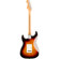 Fender Player II Stratocaster Electric G...: Picture 2 thumbnail