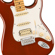 Fender Player II Stratocaster HSS Electr...: Picture 4 thumbnail