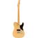 Fender Noventa Telecaster: Picture 1 thumbnail
