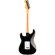 Fender Limited Edition Player Fusion Str...: Picture 5 thumbnail