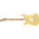 Fender Player Stratocaster: Picture 2 thumbnail