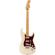 Fender Player Plus Stratocaster: Picture 1 thumbnail