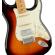 Fender Player Plus Strat HSS: Picture 3 thumbnail