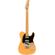 Fender PlayerPlus Nashville Tele: Picture 1 thumbnail