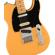 Fender PlayerPlus Nashville Tele: Picture 4 thumbnail