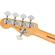 Fender Player Plus Jazz Bass V: Picture 6 thumbnail