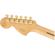 Fender Blacktop: Picture 3 thumbnail