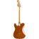 Fender Vintera '70s Telecaster: Picture 2 thumbnail