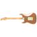 Fender Vintera Road Worn: Picture 2 thumbnail