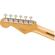 Fender Vintera '50s Stratocaster: Picture 5 thumbnail