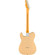 Fender Limited Edition American Professi...: Picture 2 thumbnail