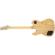 Fender Jim Adkins JA-90 Tele: Picture 2 thumbnail
