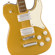 Fender Squier LE Paranormal Troublemaker...: Picture 6 thumbnail