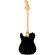 Fender Squier LE Paranormal Troublemaker...: Picture 2 thumbnail