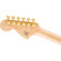 Fender Squier LE Paranormal Troublemaker...: Picture 3 thumbnail