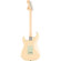 Fender Paranormal Stratocaster Deluxe El...: Picture 2 thumbnail