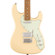 Fender Paranormal Stratocaster Deluxe El...: Picture 3 thumbnail