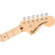 Fender Paranormal Stratocaster Deluxe El...: Picture 5 thumbnail