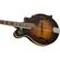 Fender Concert Tone F63S: Picture 4 thumbnail
