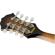 Fender Concert Tone F63S: Picture 6 thumbnail