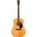 Fender PM-1: Picture 1 thumbnail
