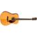 Fender PM-1: Picture 3 thumbnail