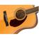 Fender PM-1: Picture 4 thumbnail