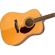 Fender PM-1: Picture 5 thumbnail