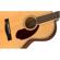 Fender PM-2: Picture 3 thumbnail