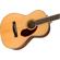 Fender PM-2: Picture 4 thumbnail
