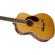Fender PM-2: Picture 5 thumbnail