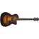 Fender PM-3: Picture 1 thumbnail