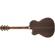 Fender PM-3: Picture 2 thumbnail