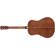 Fender PM-1: Picture 2 thumbnail