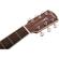 Fender PM-1: Picture 6 thumbnail